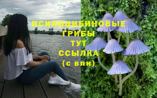 альфа пвп VHQ Медвежьегорск