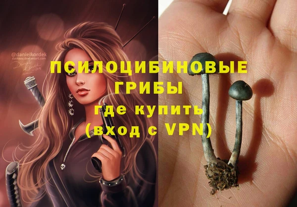 скорость Мегион