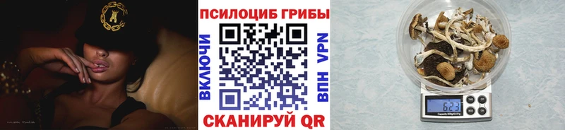 Псилоцибиновые грибы прущие грибы мега ссылка Весьегонск